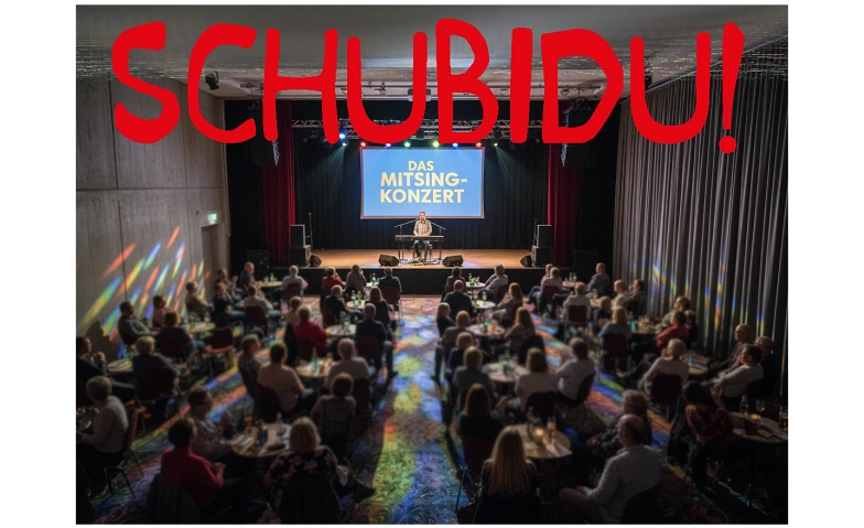 SCHUBIDU! · Bild 1