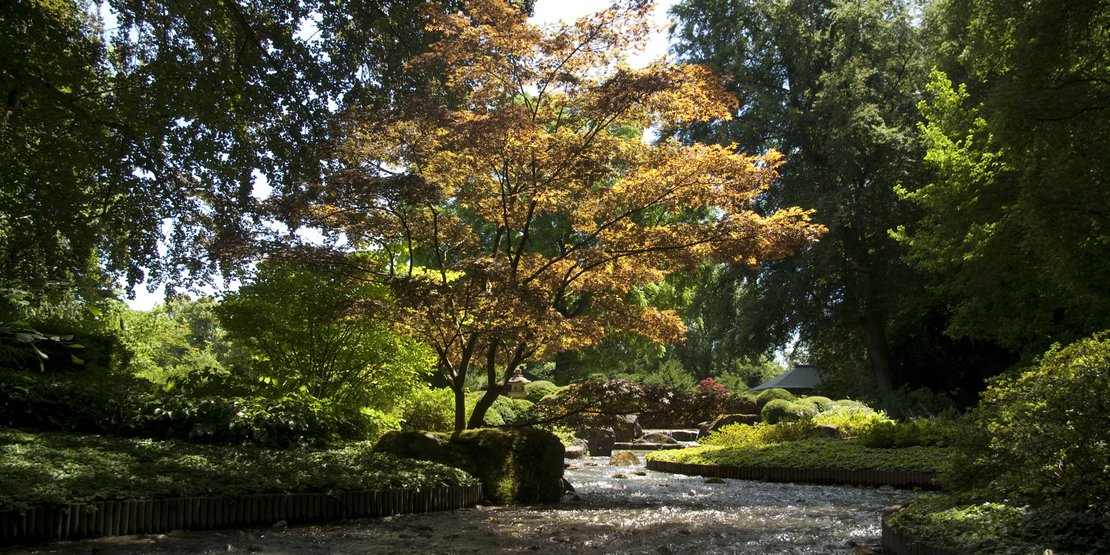 Der Japanische Garten · Bild 1