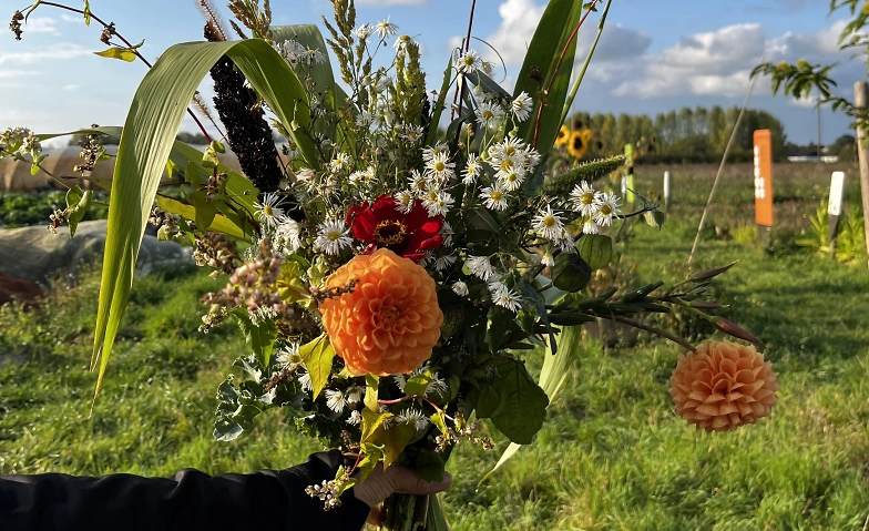 Wilde Sträuße. Blumen binden auf dem Weltacker · Bild 1
