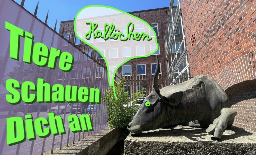 WelcÖme Zenettistraße! · Bild 1