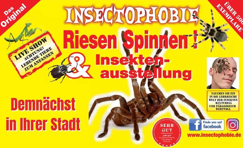 Insectophobie Riesenspinnen & Insekten Ausstellung · Bild 1