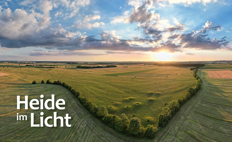 Heide im Licht - Fotografische Einblicke, neue Perspektiven · Bild 1