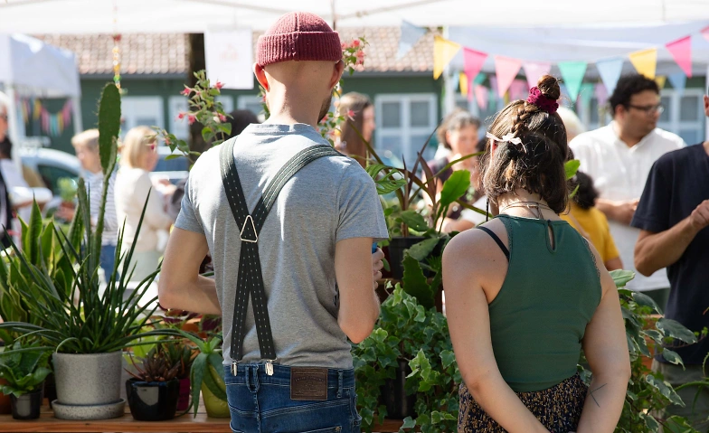 Pflanzen-Flohmarkt · Bild 1