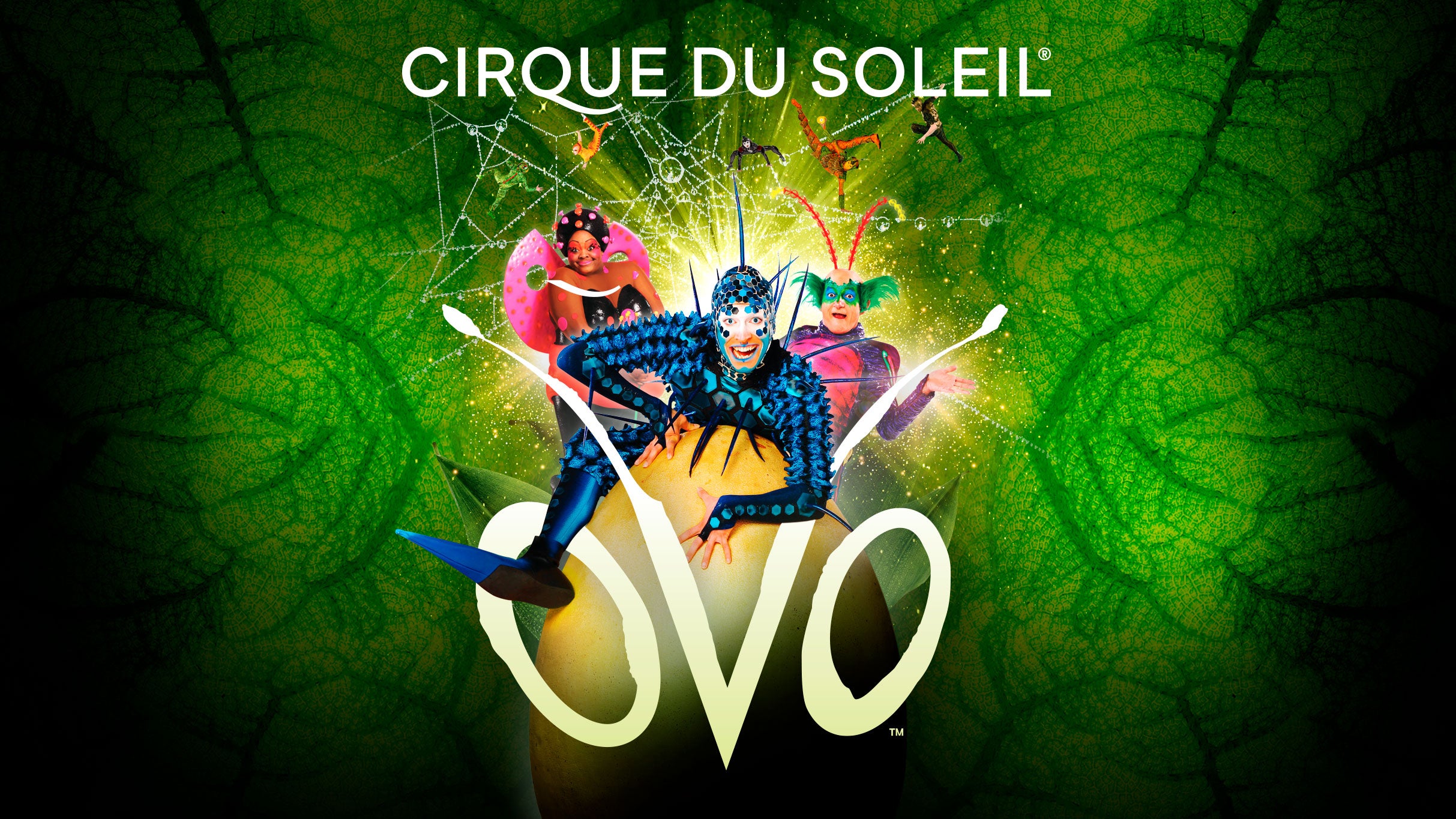 Cirque du Soleil - OVO · Bild 1