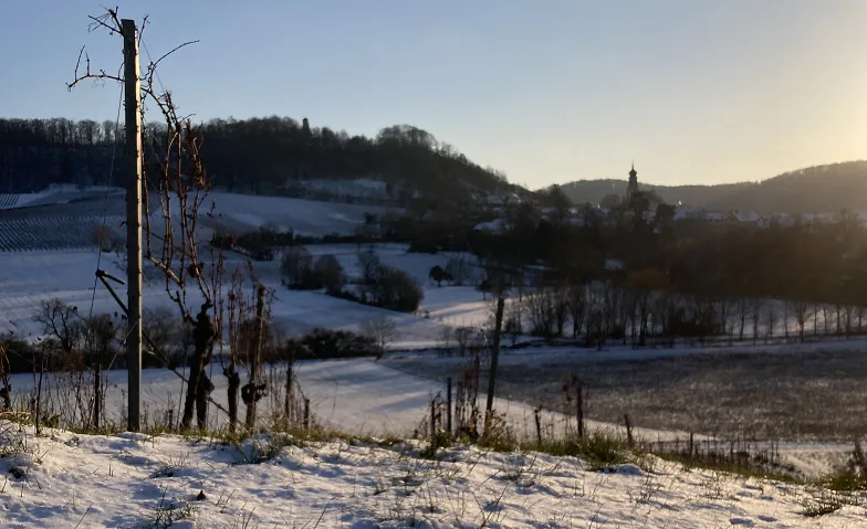 Winter-Weinwandeln · Bild 1