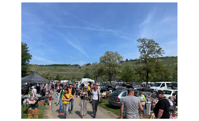 Würzburger Flohmarkt auf der Mainwiese · Bild 1
