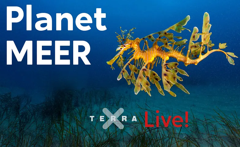 Terra X Live - Planet Meer · Bild 1