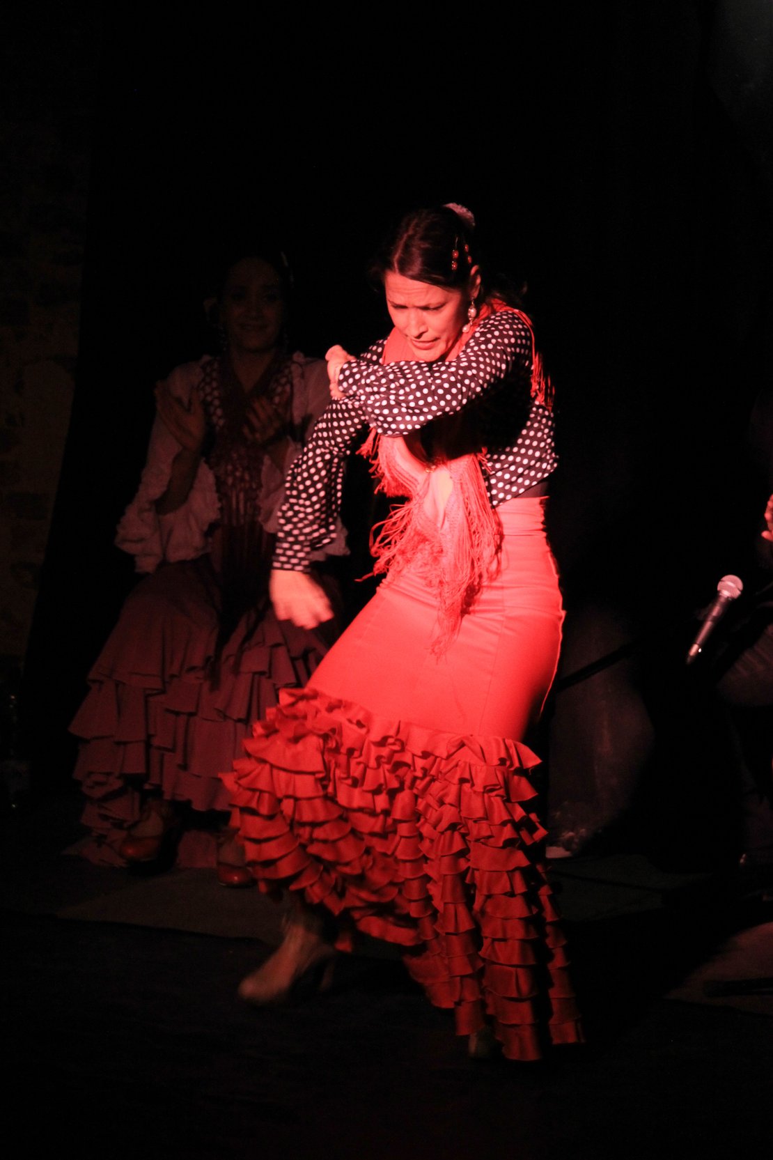 Sabor Flamenco – Live-Show mit El Pasaje Flamenco · Bild 1