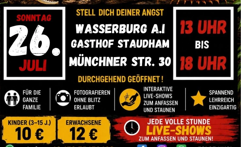 Insektopia Spinnen, Insekten & Co Austellung · Bild 1
