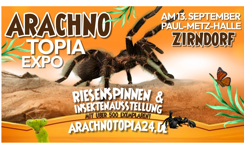 Riesenspinnen & Insektenausstellung - Zirndorf · Bild 1