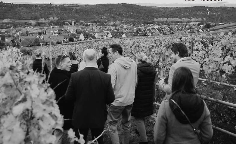 Rebenrausch – 5er Weinprobe in den Weinbergen · Bild 1