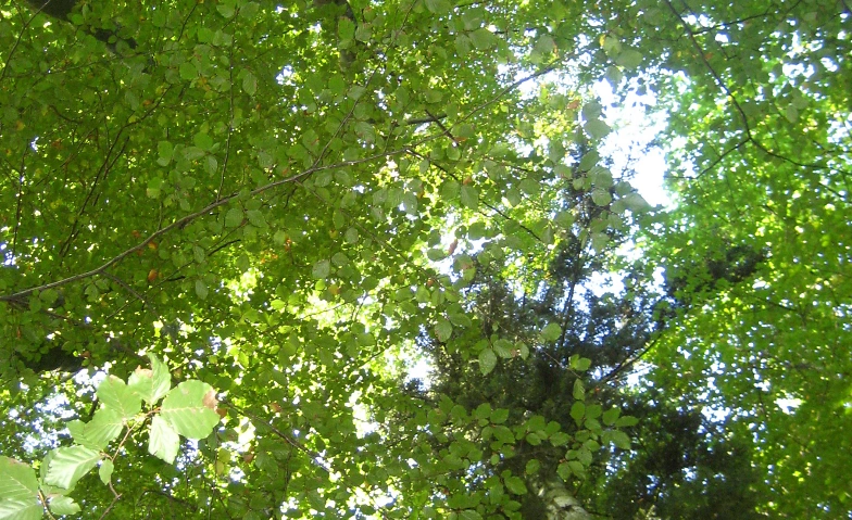 Biergartenandacht · Bild 1
