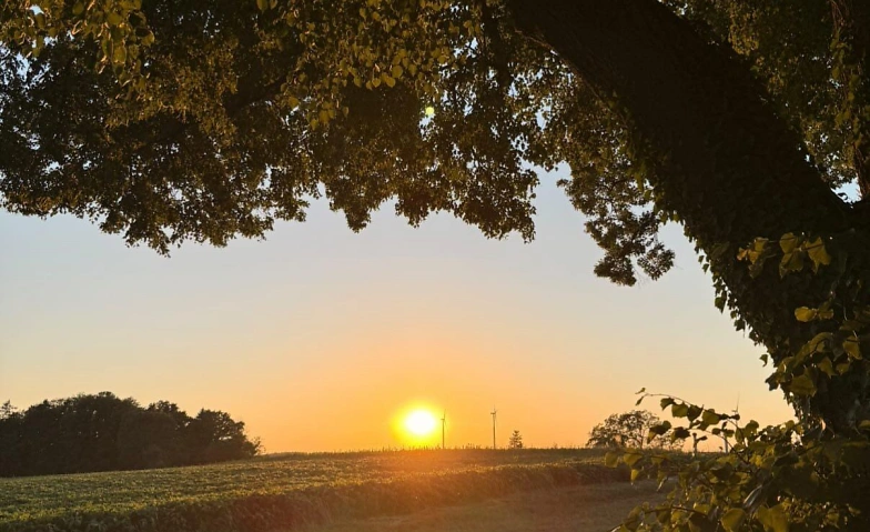 Sommerabend Meditation in der Natur · Bild 1