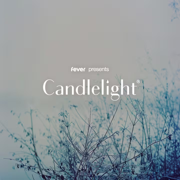 Candlelight: Das Beste von Ludovico Einaudi - München · Bild 1