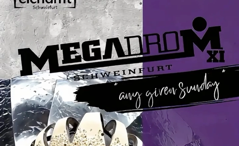 MEGADROM RELOADED #11 OPEN AIR · Bild 1