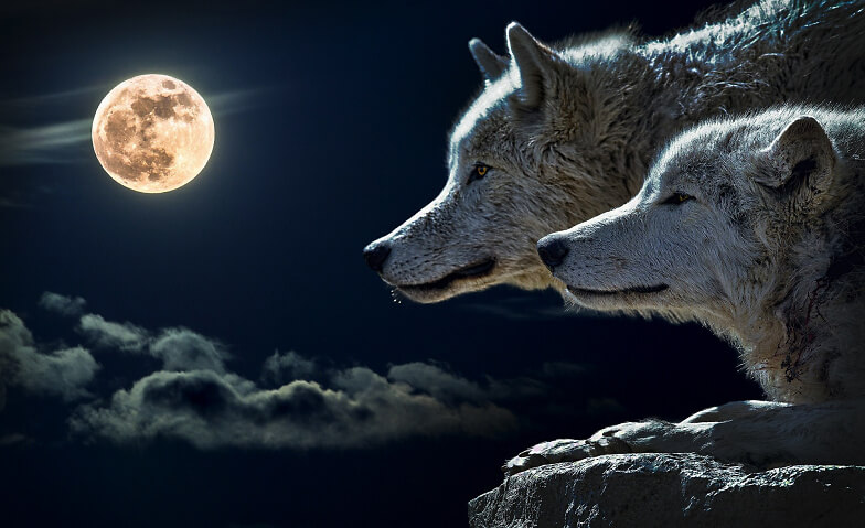 Vollmond-Trommeln für Frieden und Freiheit · Bild 1